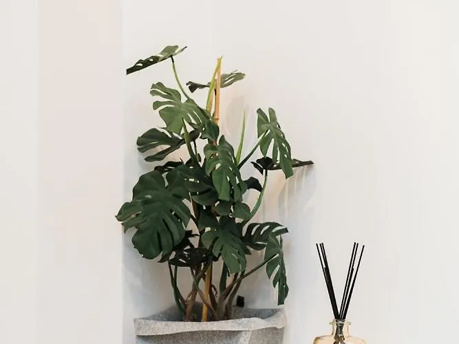 Maison Salvia *